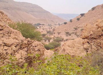 saudi-arabia/riyadh/attraction/mount-uraidh-hidden-spring