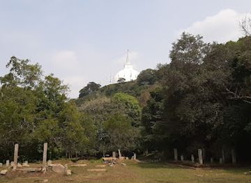 sri-lanka/anuradhapura-district/attraction/lion-s-pond
