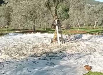 greece/kos/attraction/camlik