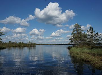 estonia/jarvamaa/attraction/loosalu-raba-matkarada