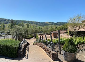 california/petaluma/attraction/viansa-winery