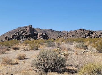 california/joshua-tree-national-park/attraction/contact-mine-trail