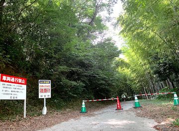 japan/buzen/attraction/seiryukutsu-cave