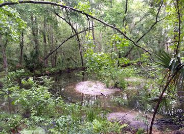 florida/ocala-national-forest/attraction/fort-king-national-historic-landmark