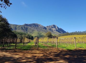 south-africa/cape-winelands/attraction/delheim-wine-estate