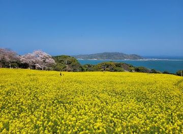 japan/fukuoka/attraction/nokonoshima-island-park