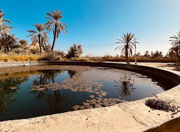 egypt/siwa-oasis/attraction/fitnas-spring