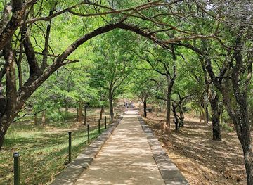 sri-lanka/north-western-province/attraction/arankale-buddhist-monastery