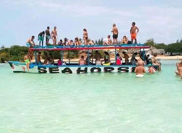 kenya/watamu/attraction/rama-safari-kenya