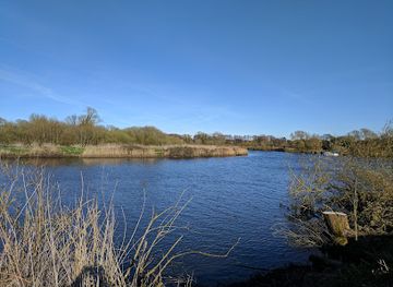 united-kingdom/the-broads/attraction/rspb-surlingham-church-marsh