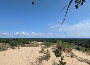 indiana/the-dunes/attraction/saugatuck-dune-rides