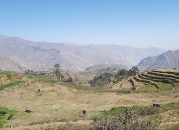 peru/colca-canyon/attraction/mirador-morro-de-capellan