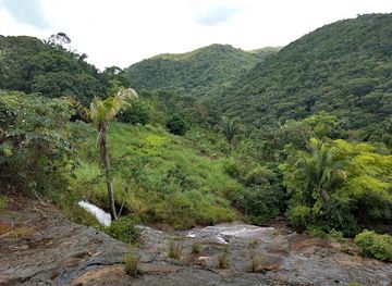brazil/atlantic-forest/attraction/murici-ecological-station