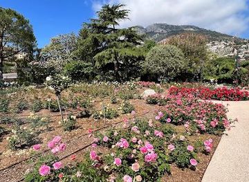 monaco/monaco-ville/attraction/roseraie-princesse-grace