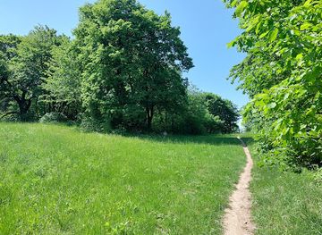 austria/eisenstadt/attraction/schoner-jager