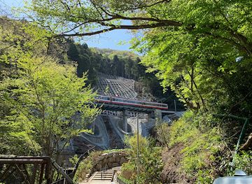 japan/hakone/attraction/jakotsu-bridge