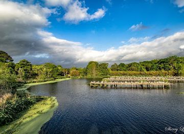 louisiana/bayou-teche/attraction/tabasco