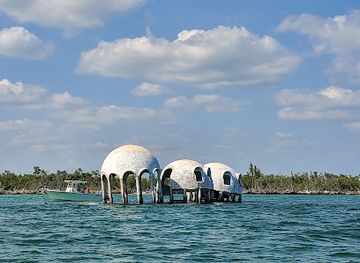 florida/marco-island/attraction/eco-endeavors-breakwater-adventures