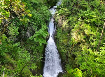 Shepperd's Dell Falls