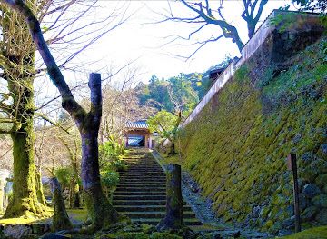 japan/tosa/attraction/seigenji