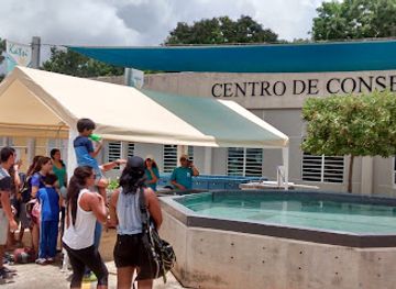 puerto-rico/bayamon/attraction/caribbean-manatee-conservation-center