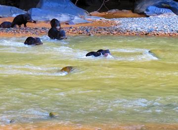 bolivia/madidi-national-park/attraction/candelaria-madidi-ecological-reserve