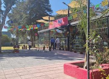 mexico/mexico-city/attraction/mexicanitzimo