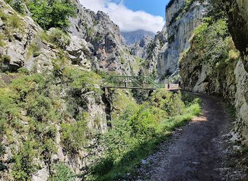 spain/picos-de-europa/attraction/puente-de-los-rebecos