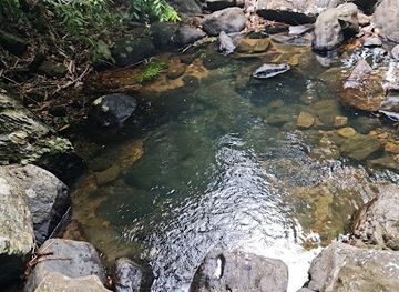 sri-lanka/ratnapura-district/attraction/aada-vatena-dola