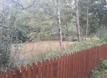 finland/tampere/attraction/lauri-viita-museo