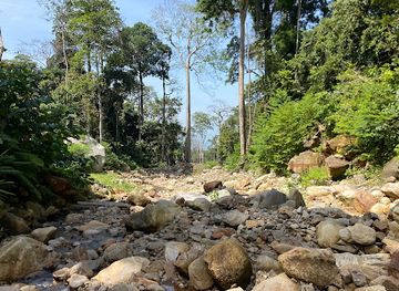 malaysia/kedah/attraction/hutan-lipur-batu-hampar