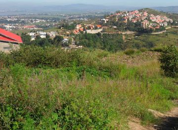 madagascar/itasy/attraction/dgi-parc-de-reboisement