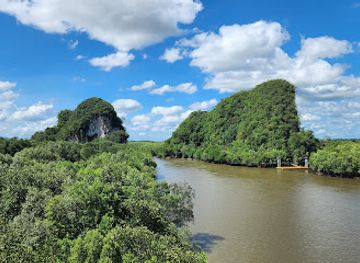 thailand/phi-pan-nam-range/attraction/krabi-urban-forest