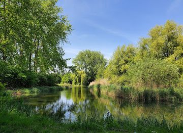netherlands/alblasserwaard/attraction/the-gorzen