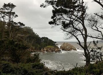 california/big-sur/attraction/mission-trail-park