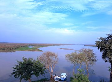 india/punjab/attraction/harike-pattan-bird-sanctuary