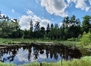 poland/masurian-lake-district/attraction/lesne-bagno