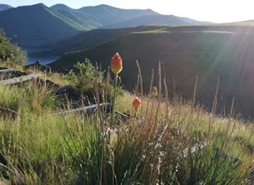 lesotho/afriski-mountain-resort/attraction/katse-dam-botanical-gardens-nursery