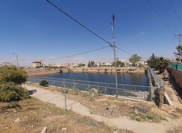 jordan/azraq-wetland-reserve/attraction/barkat-zezea