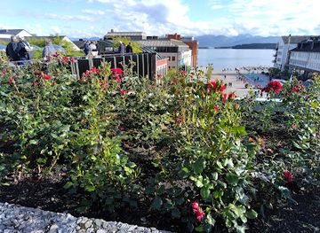 norway/more-og-romsdal/attraction/rose-garden