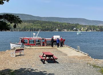 canada/cape-breton-island/attraction/bird-island-boat-tours