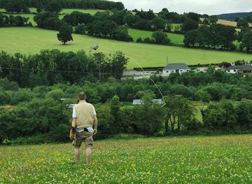 ireland/county-wicklow/attraction/falconry-ireland