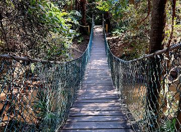 australia/central-coast/attraction/strickland-state-forest