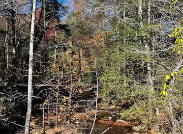 north-carolina/great-smoky-mountains/attraction/smokies-life