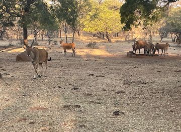 Mabula GAme Farm