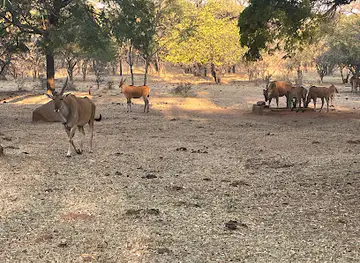 Mabula GAme Farm