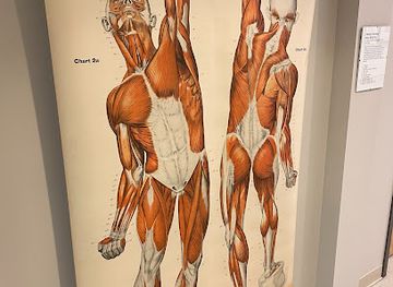 pennsylvania/lancaster/attraction/lancaster-medical-heritage-museum