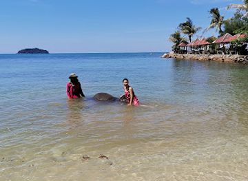 thailand/koh-chang/attraction/kaibae-meechai-elephant-camp