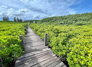 thailand/rayong/attraction/thung-prong-thong-golden-meadow