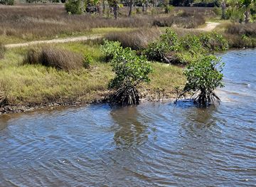 florida/crystal-river/attraction/redfish-hole-trailhead-crystal-river-preserve-state-park